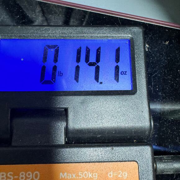 Bar III Womens Pants Size XL Blue Paper Bag Waist Tapered Leg Rolled Cuff Navy - Picture 13 of 13